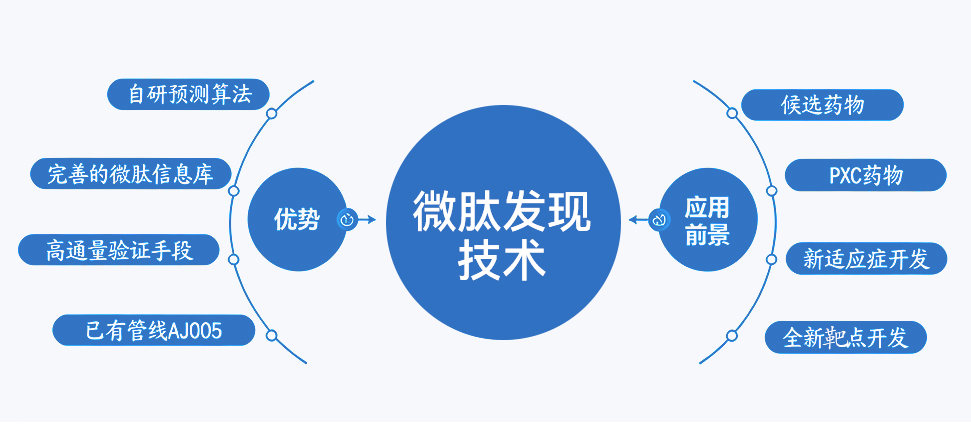 Anji Biotech's high-throughput micropeptide discovery technology and application prospects