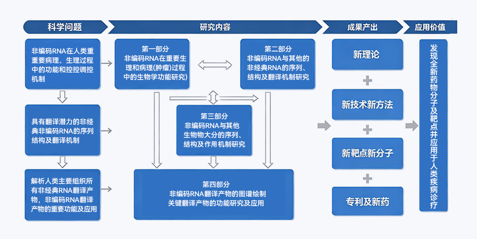 Anji Biotech's overall high-throughput micropeptide discovery technology roadmap